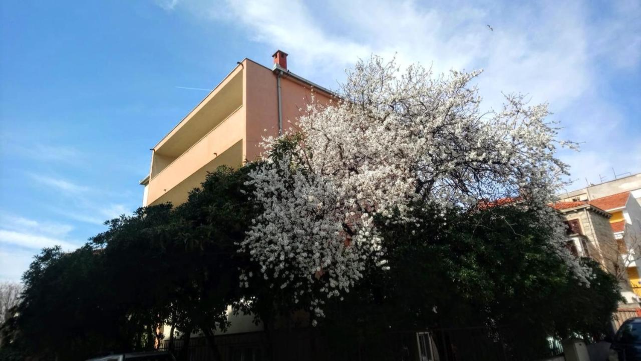 Split Symphony Veranda: Modern, New Apartment Bagian luar foto